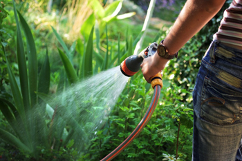 Garden being watered by hose