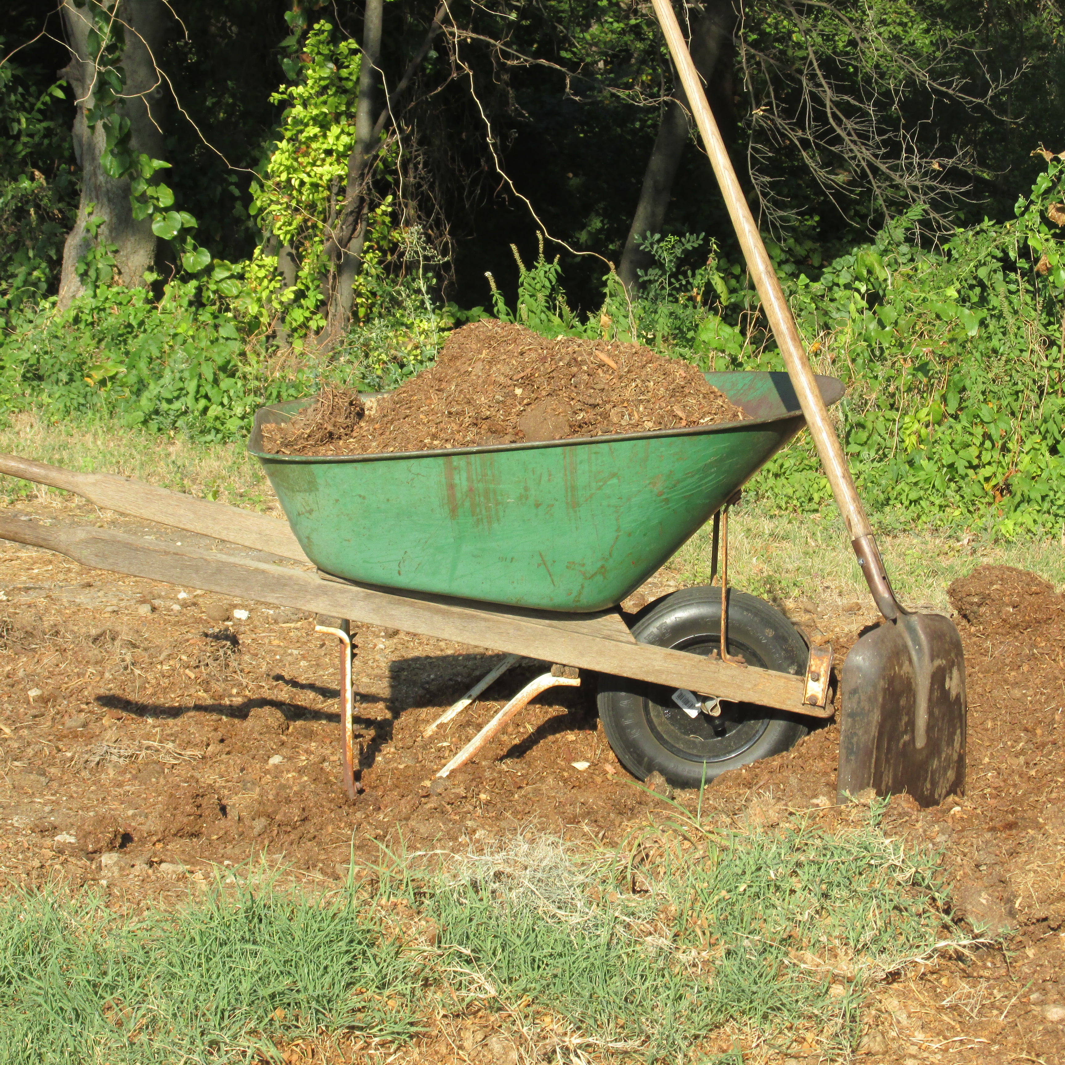 Killer Compost Why I Am Saying Goodbye To Composted Manure