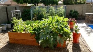 Raymond Jess Grow buckets: May 3_opt